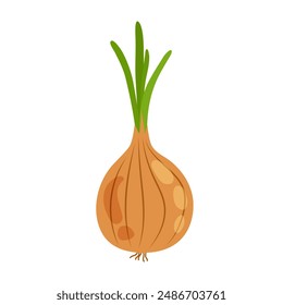 Flat style onion on a white background. Salad natural ingredient. Fresh raw yellow onion with green tops. Whole vegetable with bulb and peel. Healthy organic veggie icon.