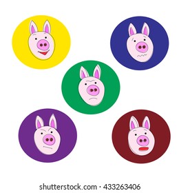 flat style pig character emotions. vector illustration