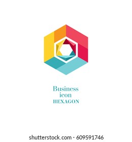 Flat style polygonal hexagon logo vector design concept. Modern gray color simple geometric icon isolated on white background