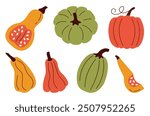 Flat style pumpkin set with colorful autumn gourds and squash. Perfect for fall-themed designs, illustrations, or seasonal decor. Add a touch of autumn to any creative project.