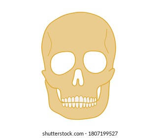 Icono de cráneo de estilo plano aislado en fondo blanco. Ilustración vectorial.