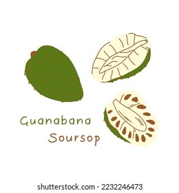 Dibujo de frutas de estilo plano aislado en fondo blanco, fruta entera y rodajas de paja.