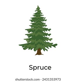 Flat style of spruce tree icon