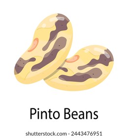 A flat style sticker depicting pinto beans