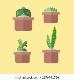 Flat Style Succulent Illustration