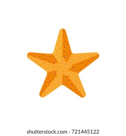 Flat Style Textured Starfish, Star Fish Icon, Symbol, Decoration Element, Vector Illustration Isolated On White Background. Flat Cartoon Vector Illustration Of Starfish, Nautical Decoration Element