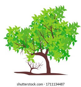 
flat style tree design. illustration of a tree with green leaves.