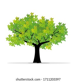 
flat style tree design. illustration of a tree with green leaves.