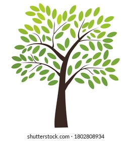 flat style tree illustration. ecological theme design