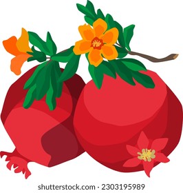 Flat style two whole pomegranate fruits with leaves and flowers on white background