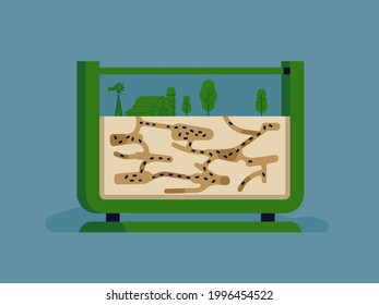 Flat Style Vector Design Element On Hobby Item Ant Farm Or Formicaria 