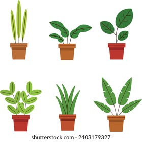 flat style vector flower 6 pot green plants simple illustration