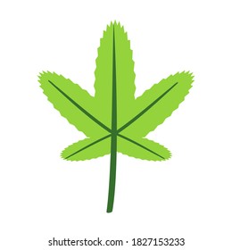 Flat style vector illustration of leaves isolated on white background. Nature icon, fit for sign and symbol, decoration, forest design