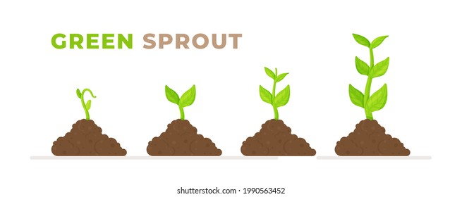 Flat style vector illustration. Phases of planting. Sprout, plant, tree planting icons of agriculture. Concept of evolution. 