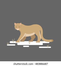 Flat style Vector Illustration of a Puma.