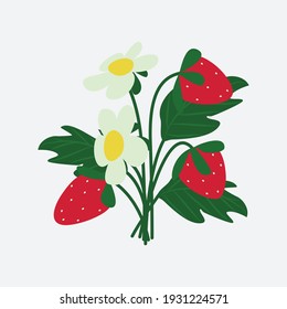 Flat style vector illustration of wild strawberry with berries, leaves and flowers