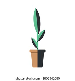 Flat style vector plants illustration in a pot