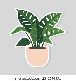 Flat style vector scandinavian Illustration of a foliage plant. Monstera sticker plant pot isolated houseplant