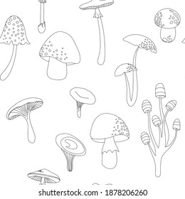 Flat summer forest mushrooms. Concept with mushrooms on white background vector illustration