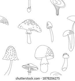 Flat summer forest mushrooms. Concept with mushrooms on white background vector illustration