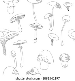 Flat summer forest mushrooms. Concept with mushrooms on white background vector illustration