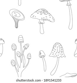 Flat summer forest mushrooms. Concept with mushrooms on white background vector illustration