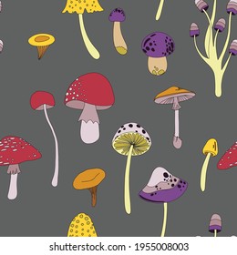 Concepto de hongos boscosos planos de verano con hongos coloridos sobre la ilustración vectorial de fondo blanco