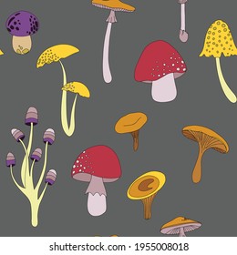Flat summer forest mushrooms concept with colorful mushrooms on white background vector illustration