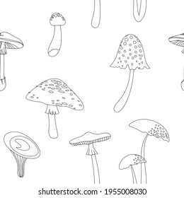 Flat summer forest mushrooms. Concept with mushrooms on white background vector illustration