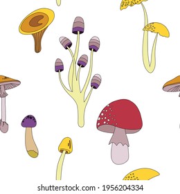 Flat summer forest mushrooms concept with colorful mushrooms on white background vector illustration