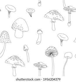 Flat summer forest mushrooms. Concept with mushrooms on white background vector illustration