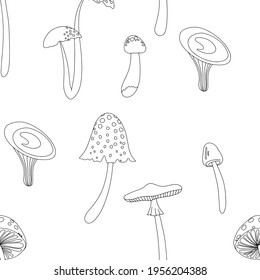 Setas de verano planas. Concepto con hongos sobre ilustración vectorial de fondo blanco