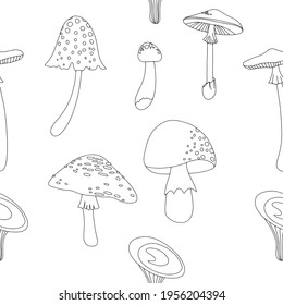 Flat summer forest mushrooms. Concept with mushrooms on white background vector illustration