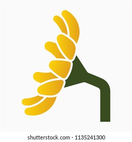 Flat sunflower pixel perfect vector icon
