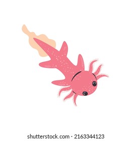 flat swimming pink axolotl over white