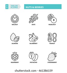 Flat symbols about nuts & berries. Thin line icons set.
