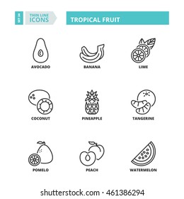 Flat symbols about tropical fruit. Thin line icons set.