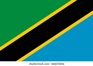 Flat Tanzania flag vector background