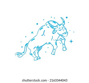 flat taurus constellation over white