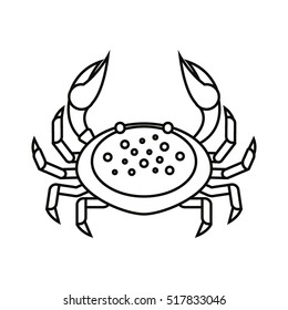 Flat thin line crab isolated on white background - vector illustration. Sea water animal icon. Zodiac cancer