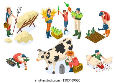 Flat Tractor Set. Farmer, Agricultural Worker With Plant, Chicken, Sheep, Rabbit, Cow, Milk, Fruit Or Feeding Farm Animal. Harvest Man With Apple. Girl Isometric Images Isolated On White Background.