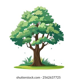 Flat Tree Vector, Simple Tree Design, Green, big tree, Tree Illustration