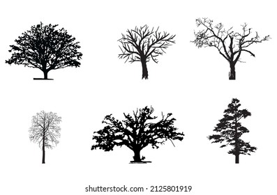 Flat trees are ready. Flat forest tree nature plant isolated eco foliage.