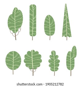 flat trees set.Isolated on white background.Minimal style.Vector illustration about tree set.