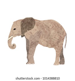 Flat trendy design elephant. African animal wildlife vector illustration isolated on white background.