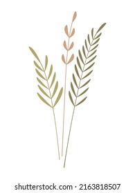 Flat tropical branches, leaves set isolated on white. Minimal botanical vector illustration. Floral bundle, decor, ornament, design element for print, pattern or card.