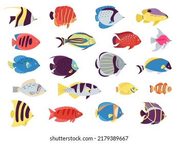 Flat tropical fish. Anemone fish, aquarium sea pet. Cartoon isolated underwater wild characters. Goldfish and exotic ocean creatures decent vector set