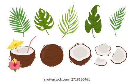 Conjunto de ilustración tropical plana con hojas de palma y Elementos de coco. Colección de verano para diseño de viajes, marca exótica, packaging y proyectos temáticos tropicales.