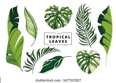 flat tropical leaves set collection