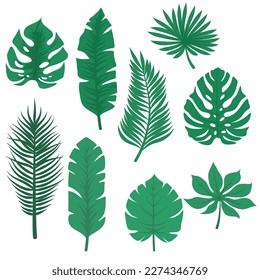 Colección de conjunto de hojas tropicales planas